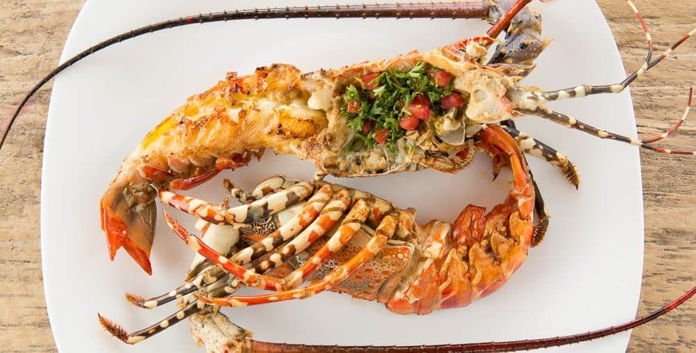 The Rock Special (lobster, cigal, jumbo prawn, fish fillet and calamari all on the grill)