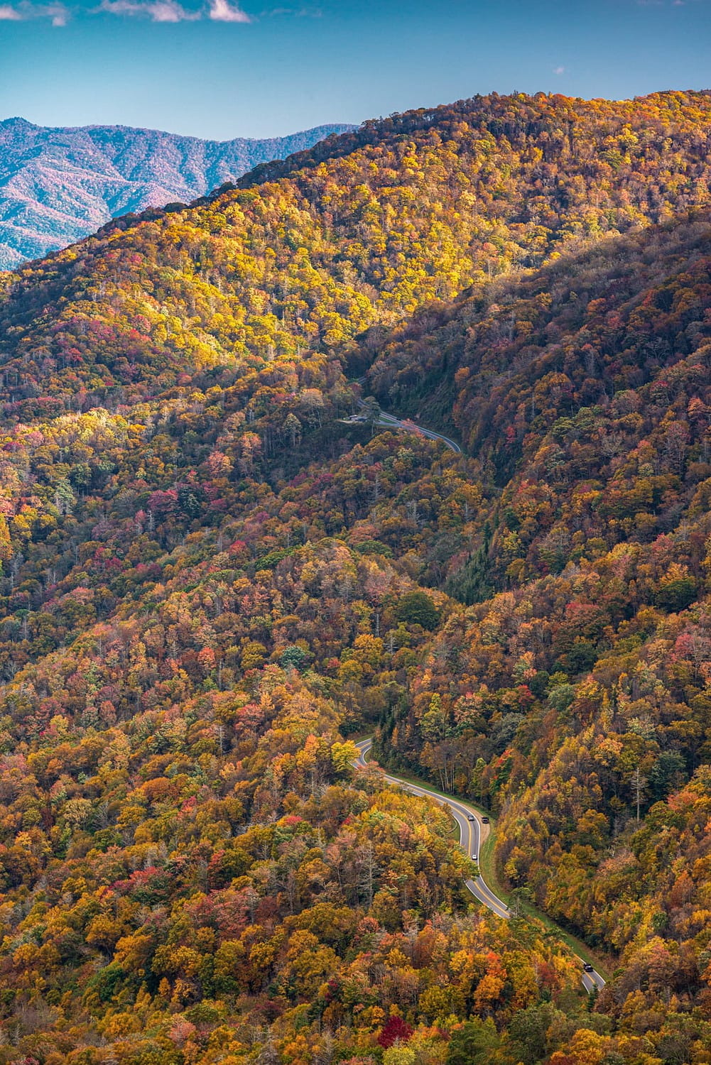 Fall colors in The Great Smoky Mountains