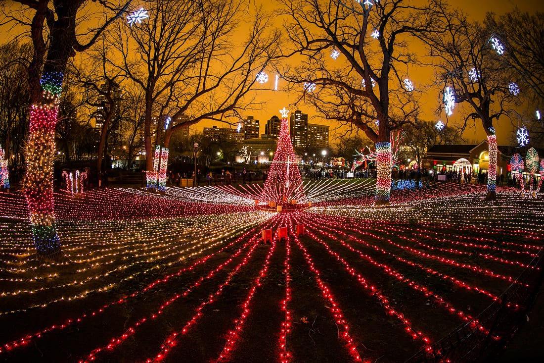 Zoolights at the Lincoln Park Zoo