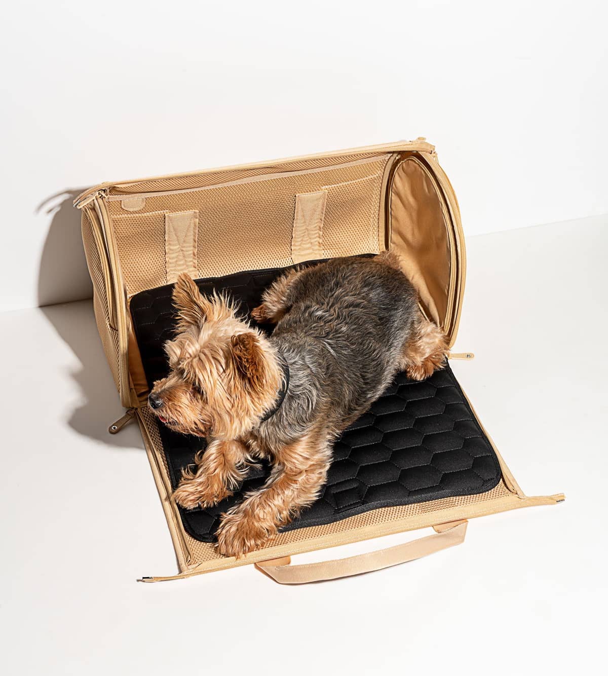Best Airline-Approved Pet Carrier