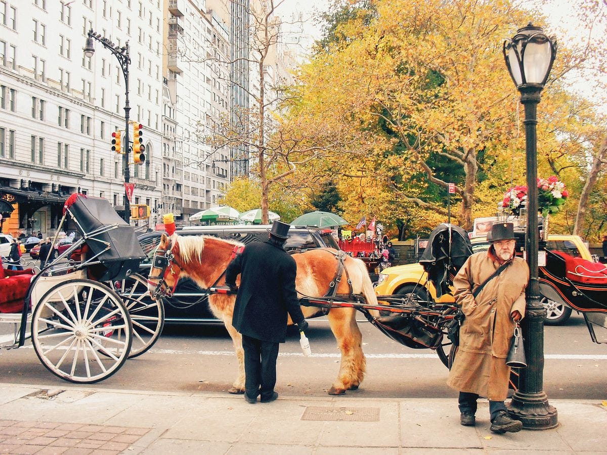 Horse and Carriage in Central Park