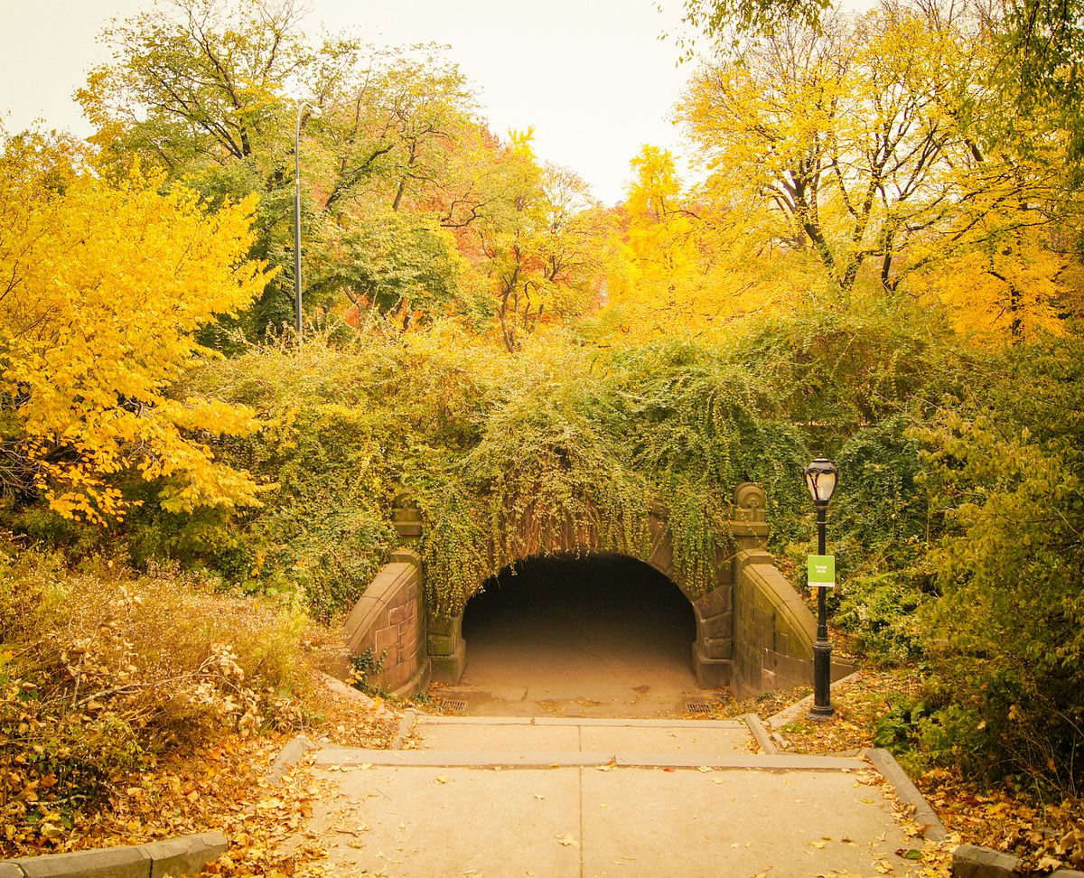 Trefoil Arch in Central Park