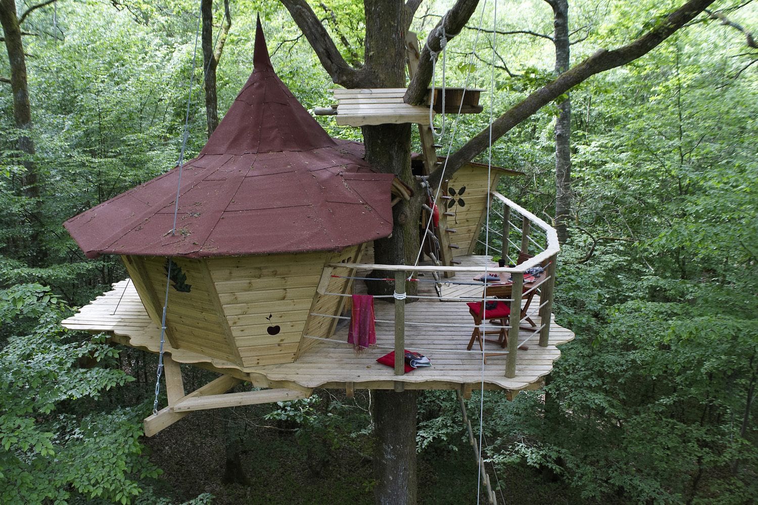 Quirky Treehouse