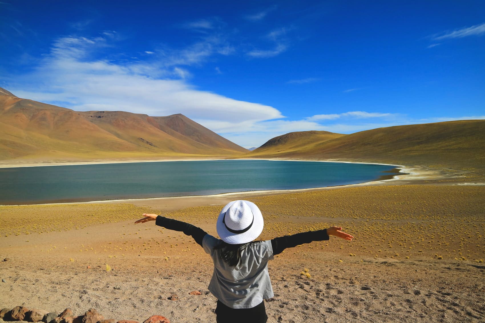 Miscanti Lagoon, Atacama Desert