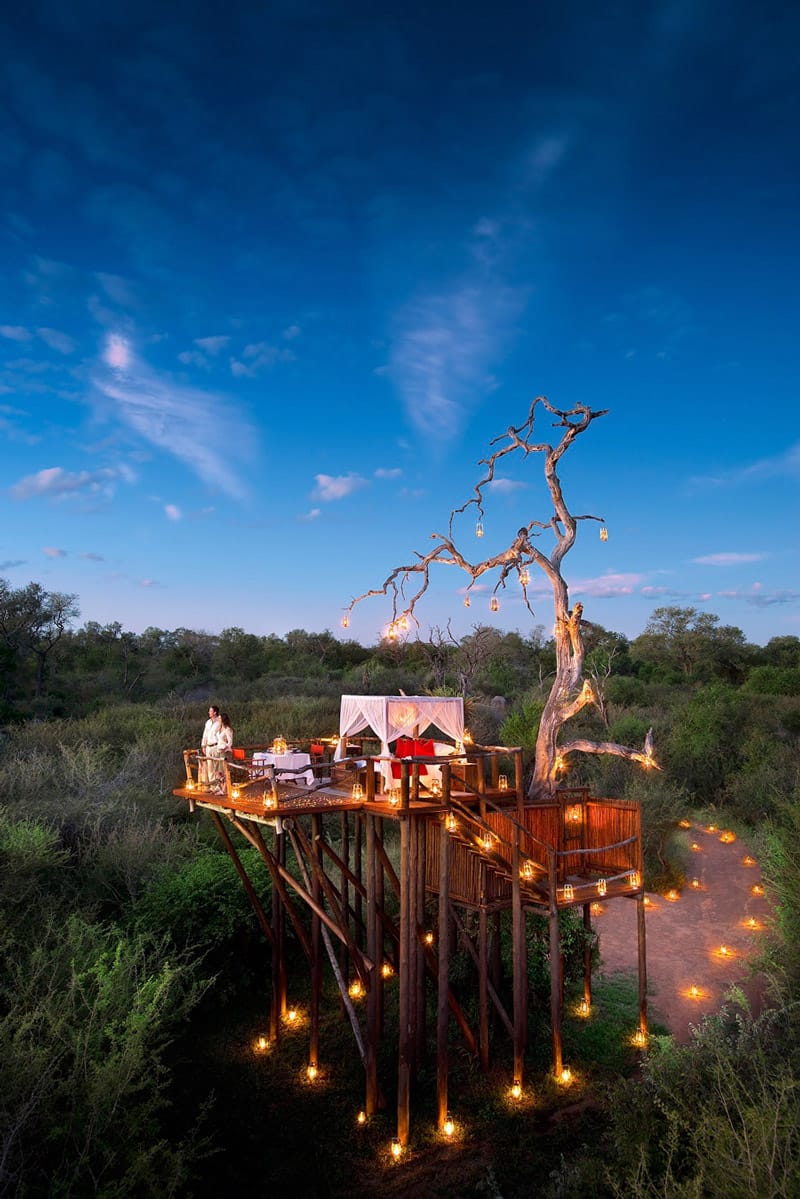 Romantic night in a treehouse