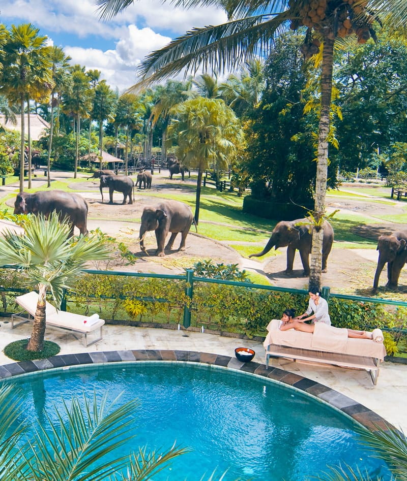 The Best Eco Safari Lodge in the World