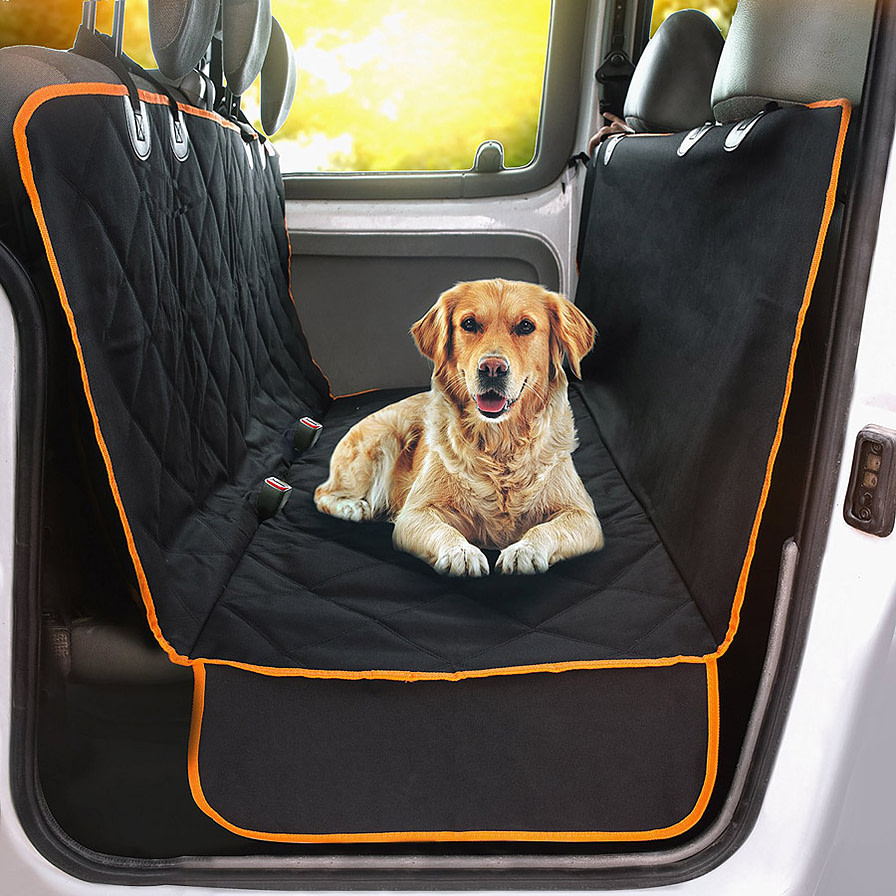 best car travel accessories for dogs