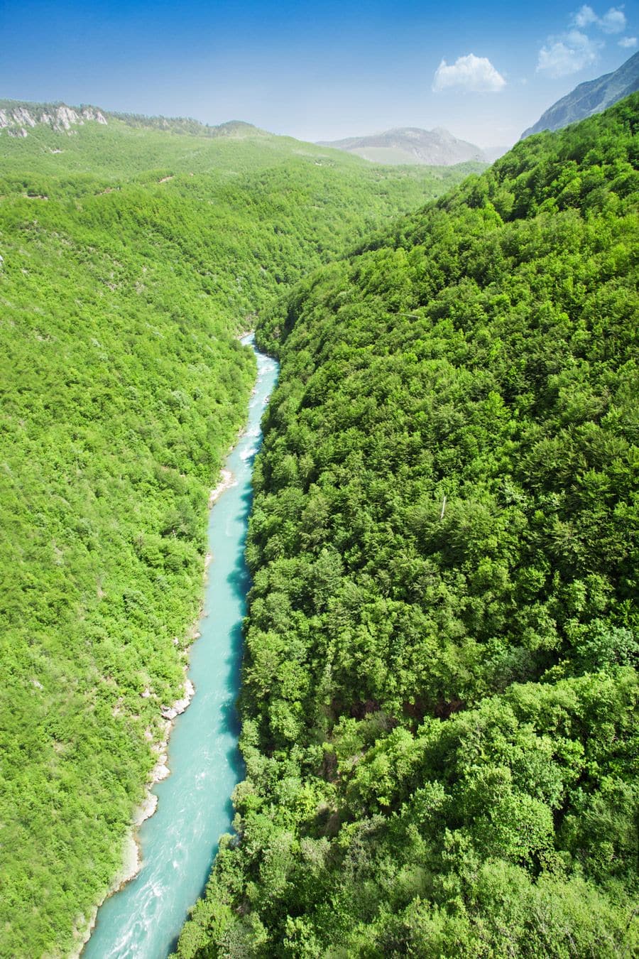 Tara River