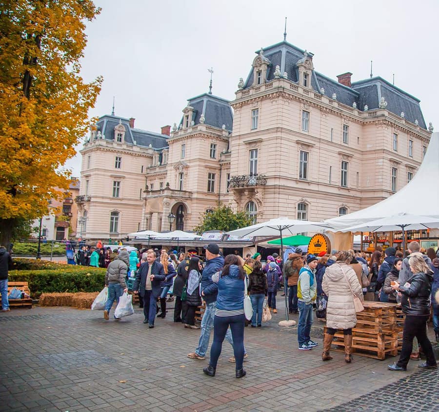 Lviv Cheese and Wine Festival