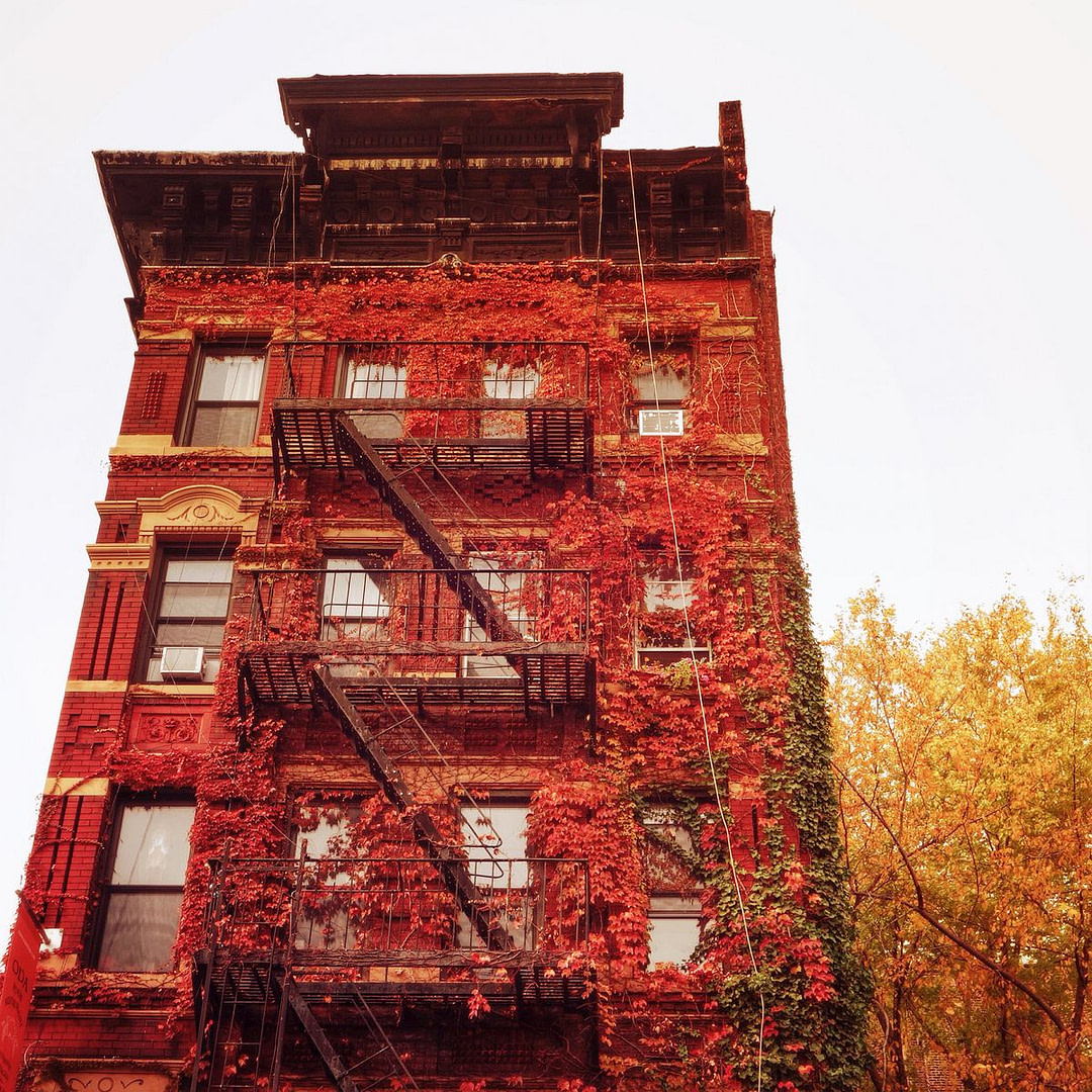 Building in Alphabet City