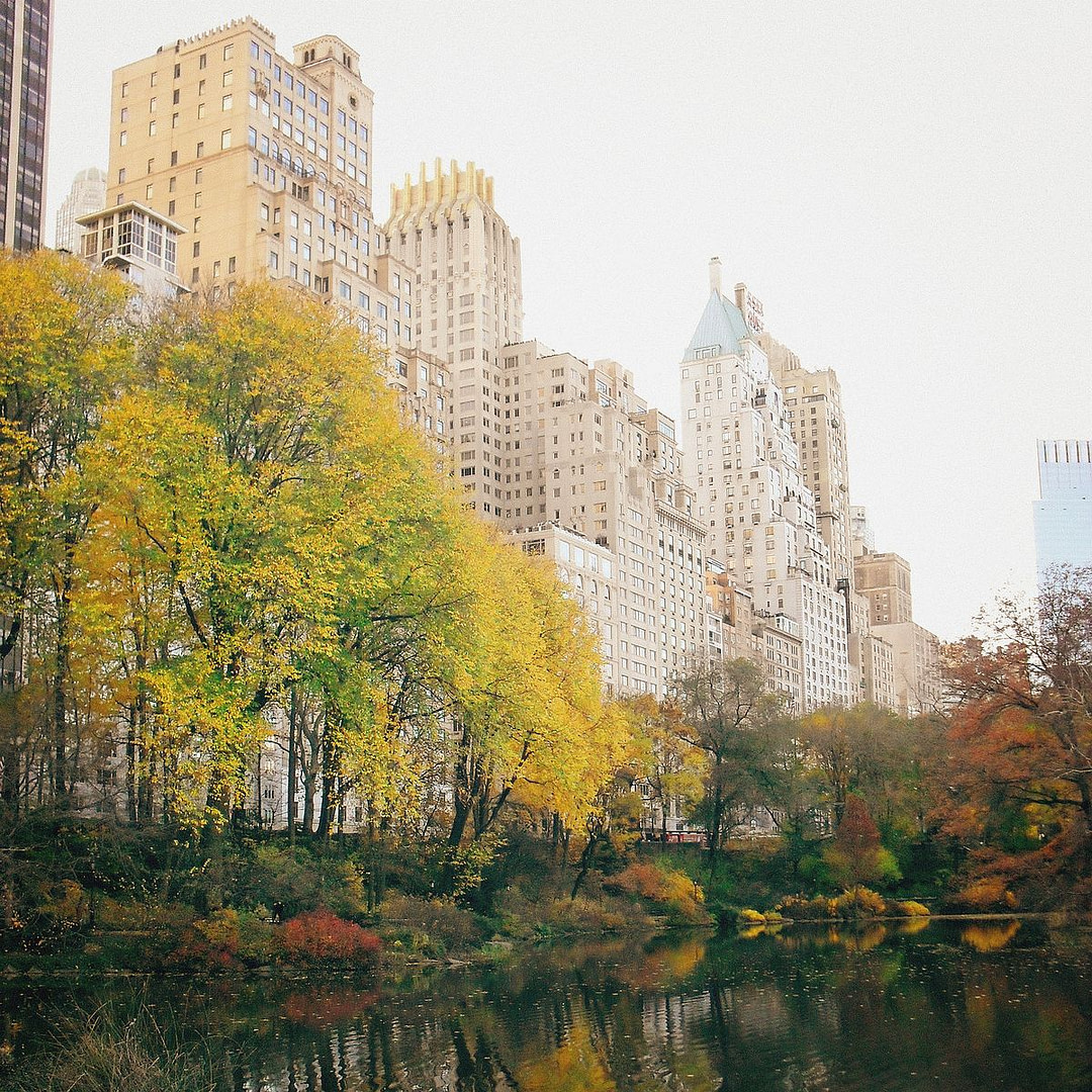 Buildings near Central Park