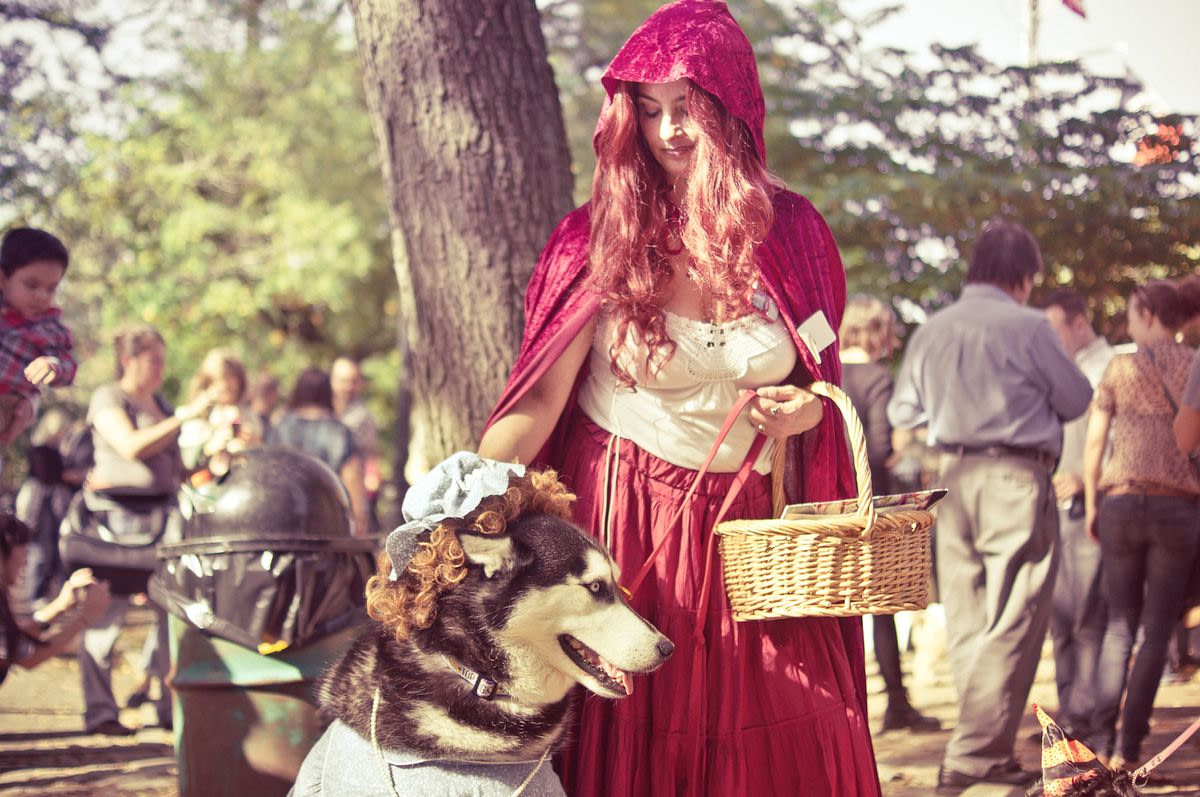 Halloween Dog Parade