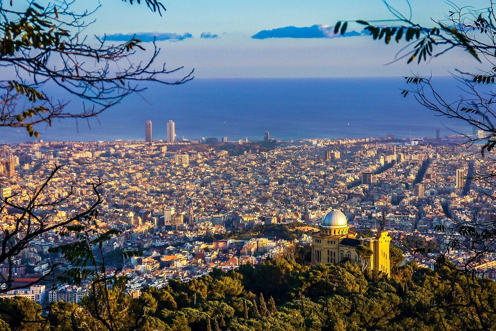 Barcelona seen from Collserola