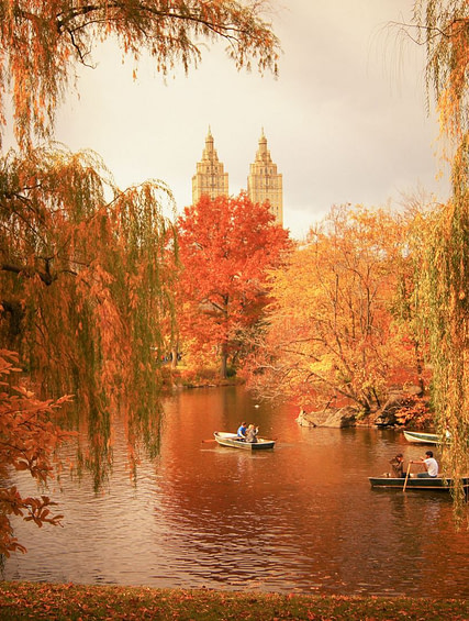 Boating on the Lake