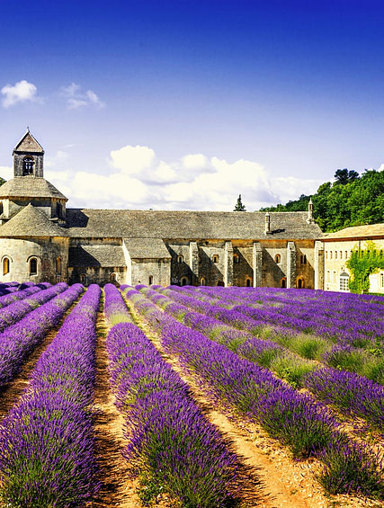Sénanque Abbey