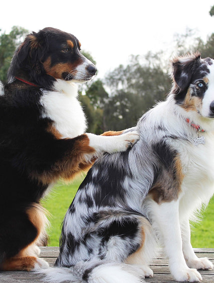 Best friends