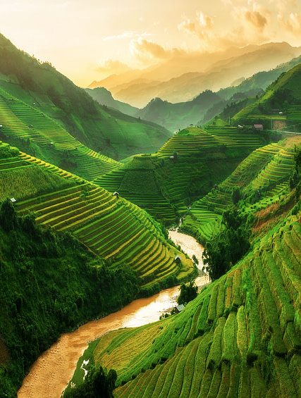 Experience Vietnam
