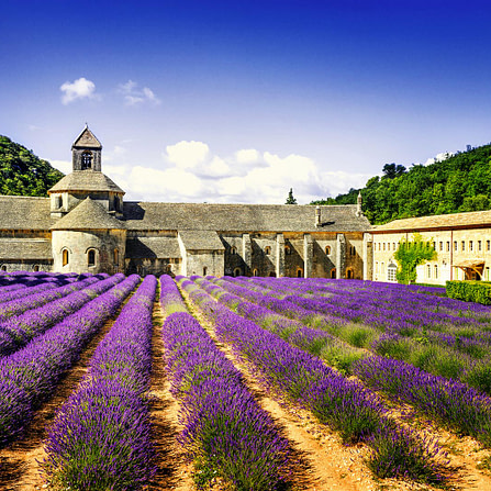 Sénanque Abbey