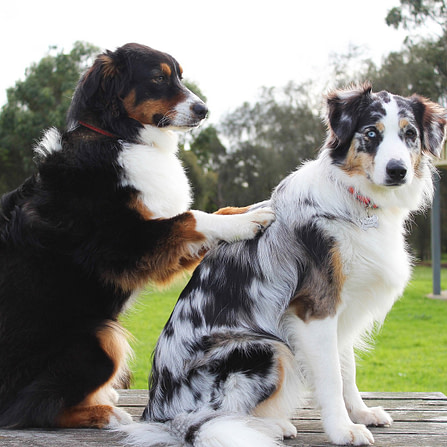Best friends