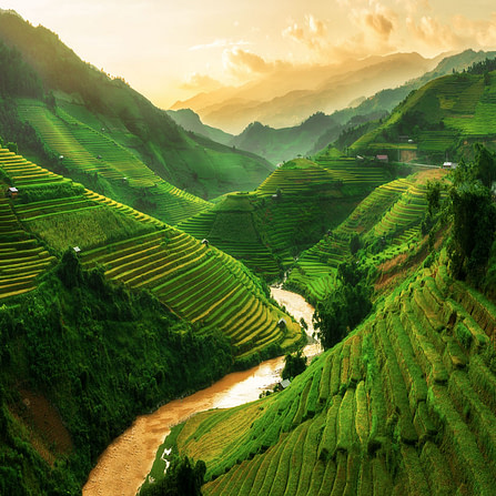 Experience Vietnam