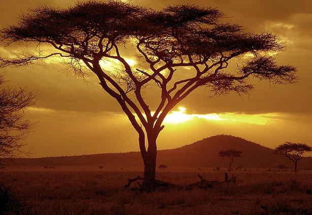 Tanzania