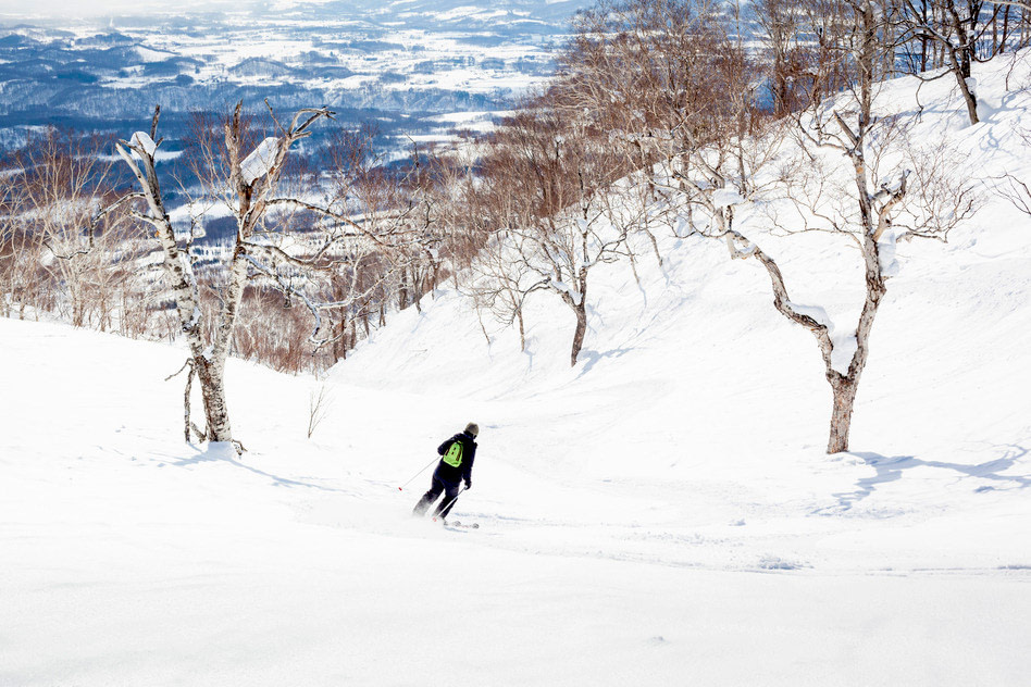 Niseko Ski Resort