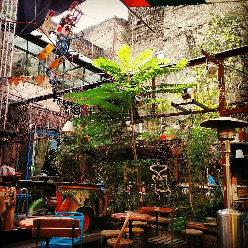 Simple Garden in Budapest