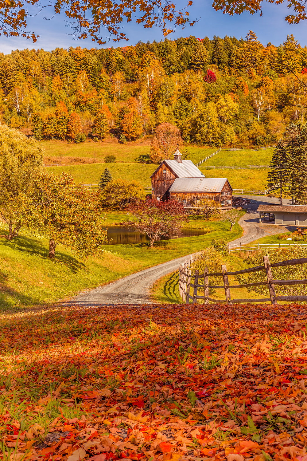 Vermont fall foliage