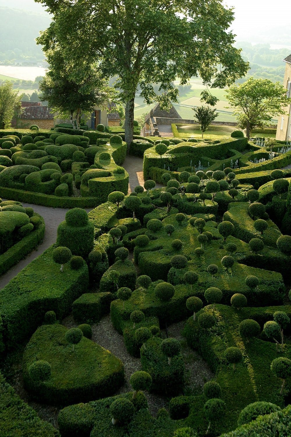 Marqueyssac Boxwoods