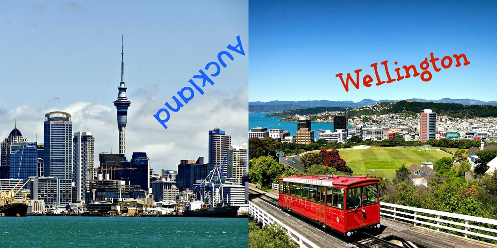 Auckland New Zealand harbor skyline