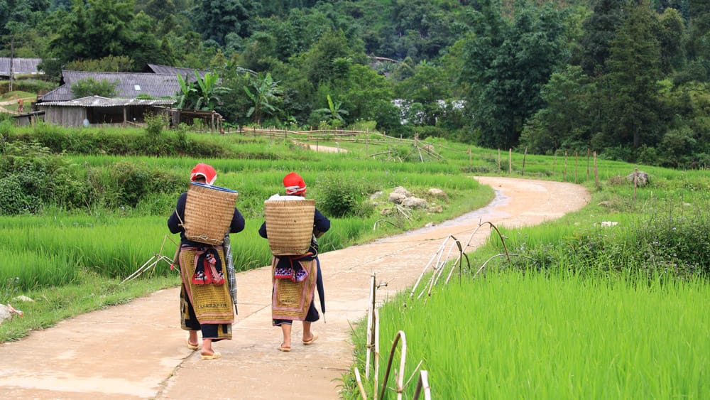 Hill-tribe women in Vietnam