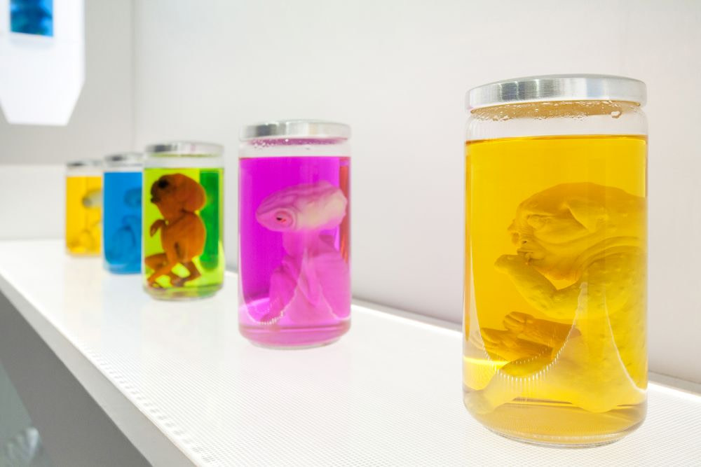 Aliens in Jars