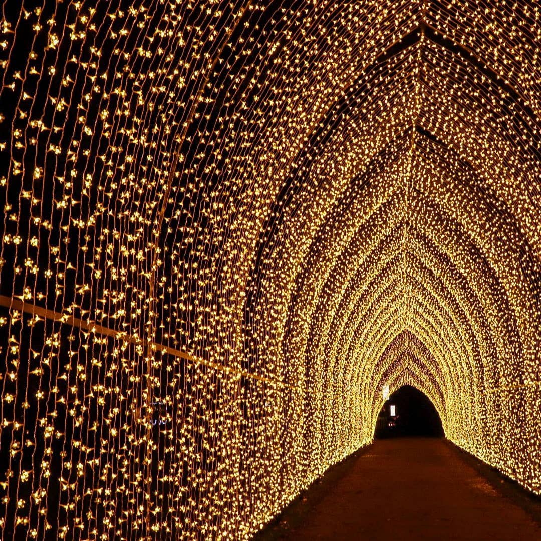 Christmas at Kew