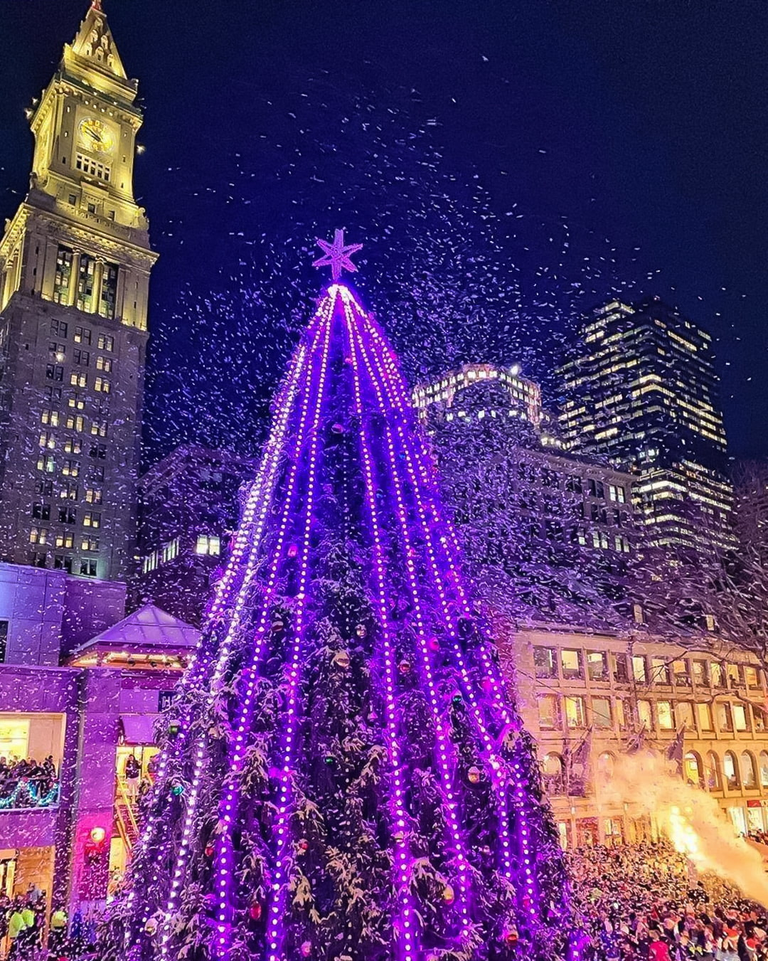 Christmas treet at Faneuil Marketplace