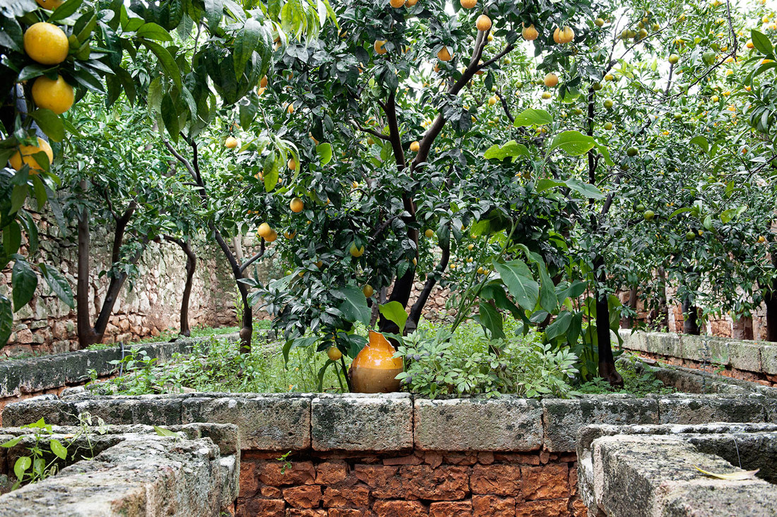 Orangery in Puglia