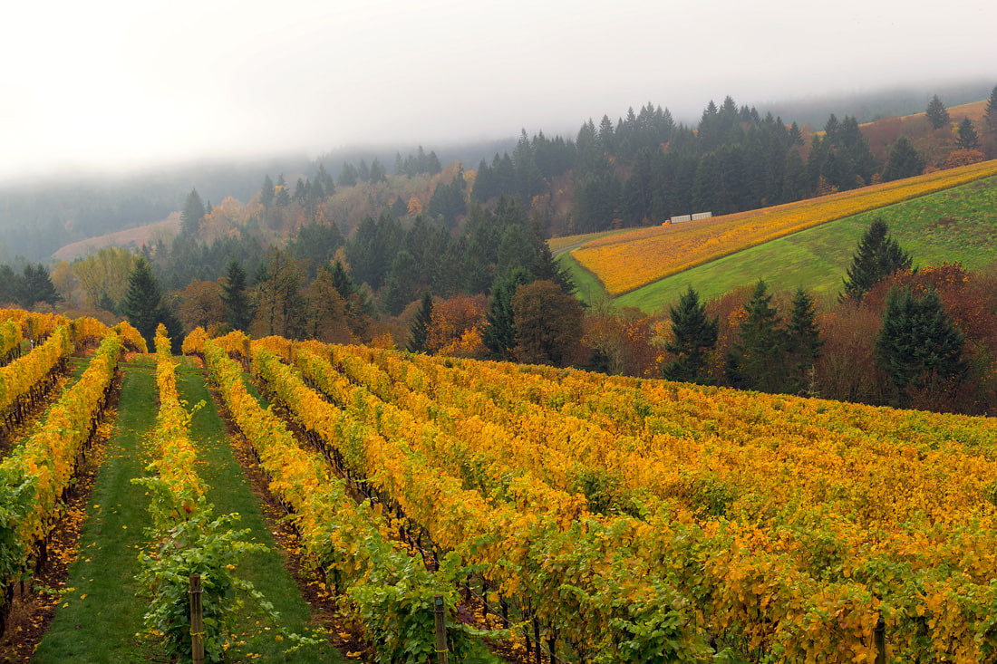 Willamette Valley during fall