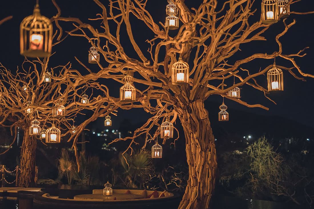 Lantern-laden trees