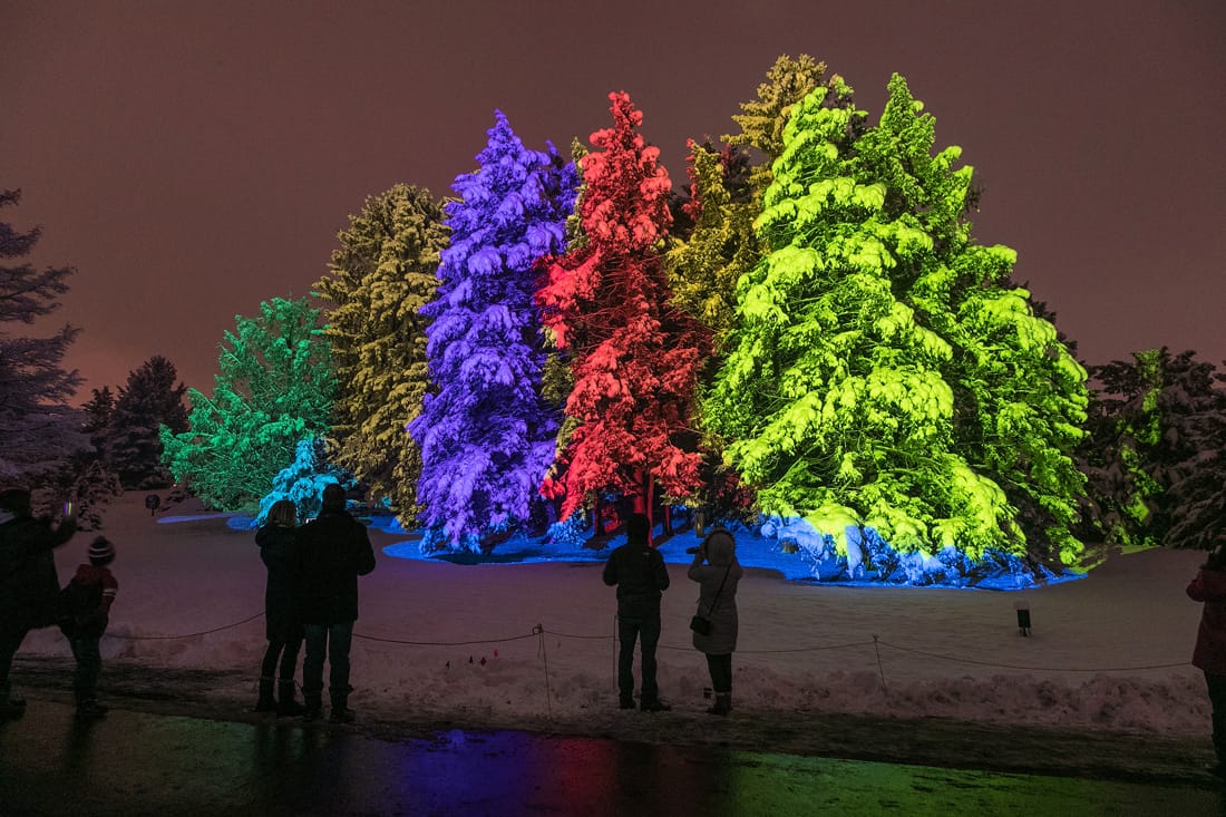 Illumination at the Morton Arboretum