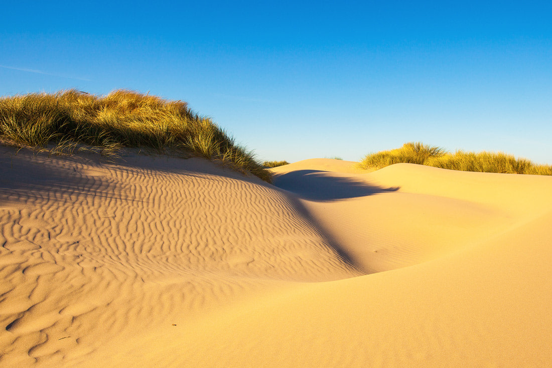 Sand dunes in Oregon