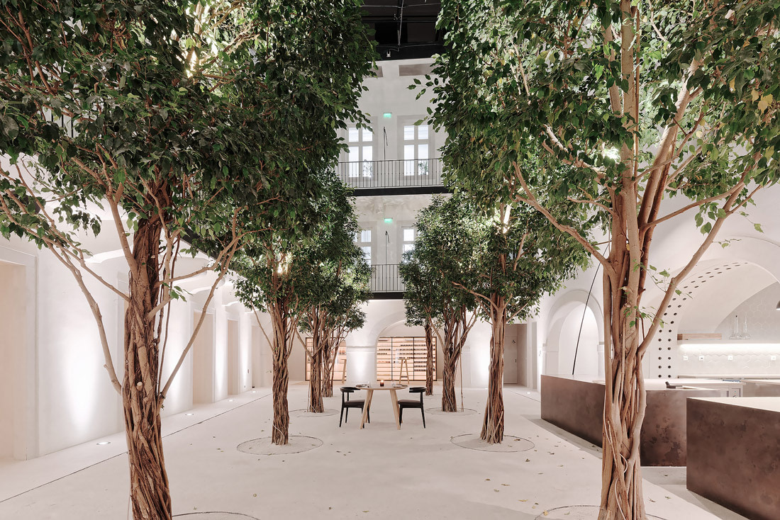 Beautiful courtyard with trees