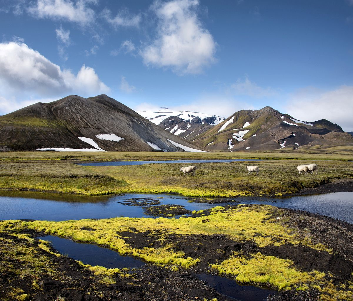 Fjallabak Nature Reserve