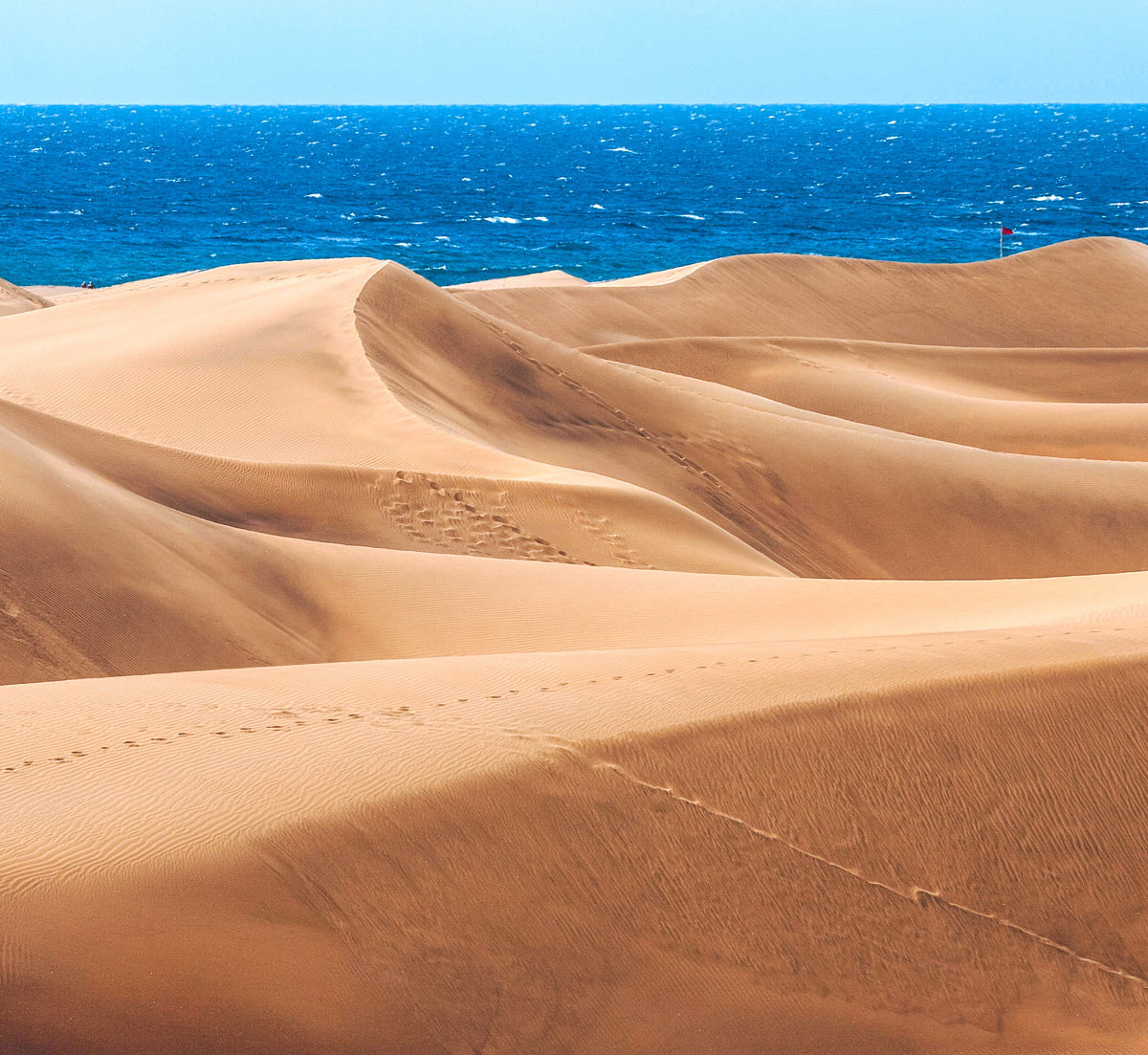 Sand dunes in Gran Canaria