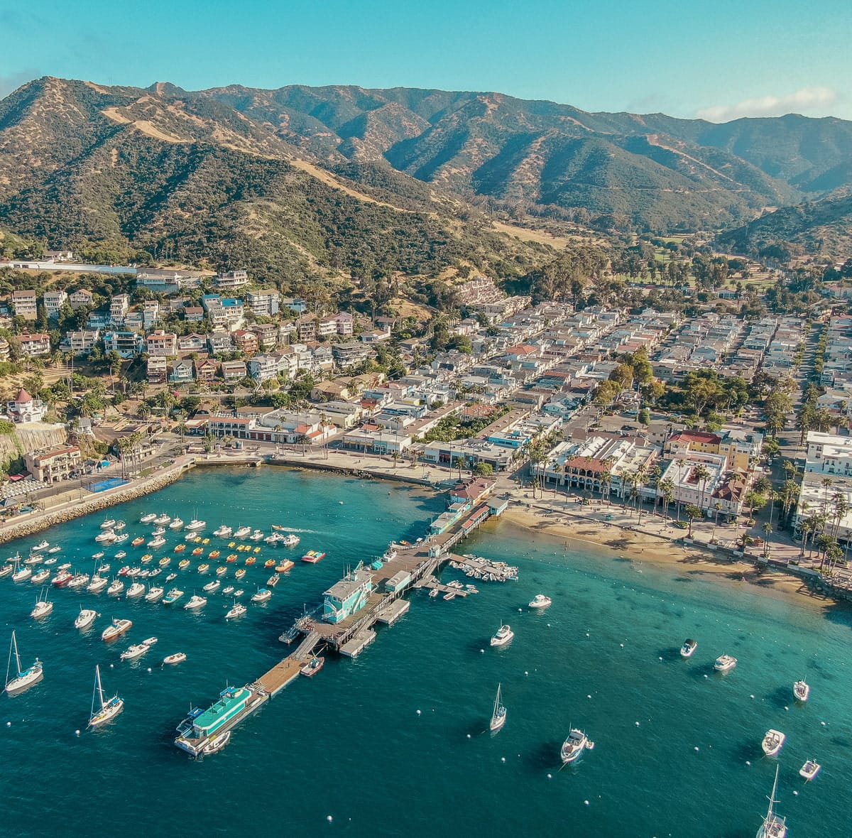 Catalina Island