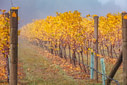 Wine region in Australia