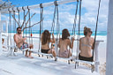 Beach bar with swings