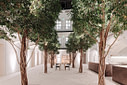 Beautiful courtyard with trees