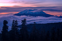 Nature in Washington