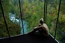 Landscape hotel