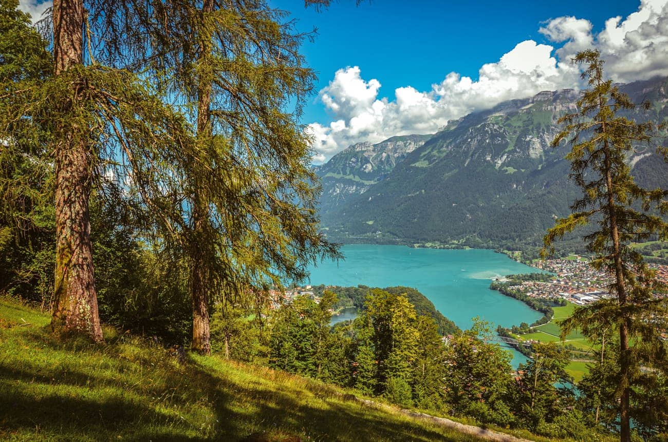 Harder Kulm trail