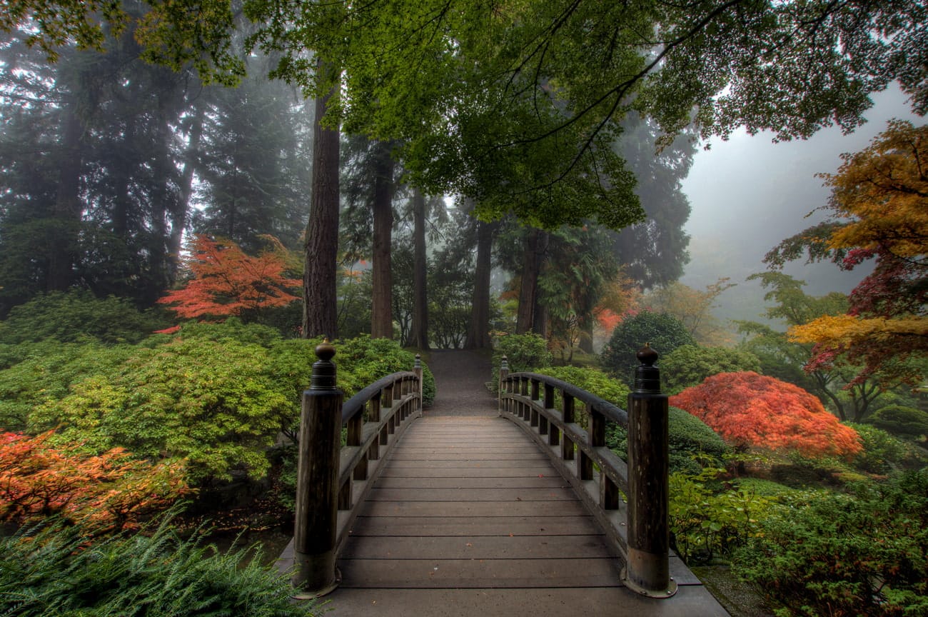 Japanese garden in Portland